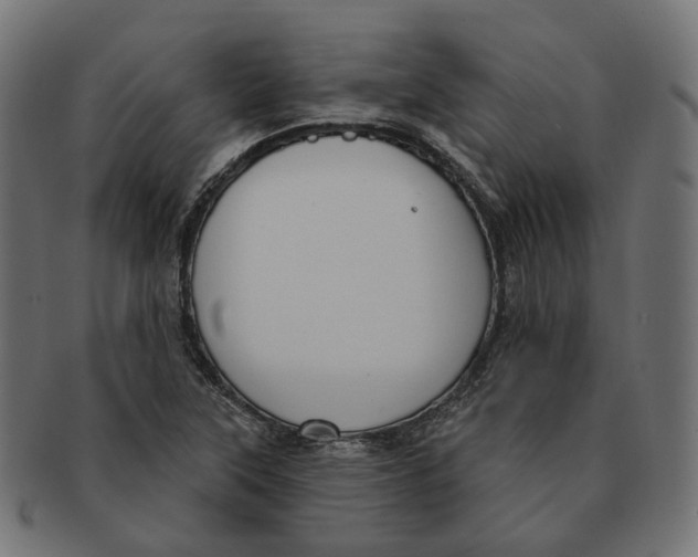 X0000091731315200709211012