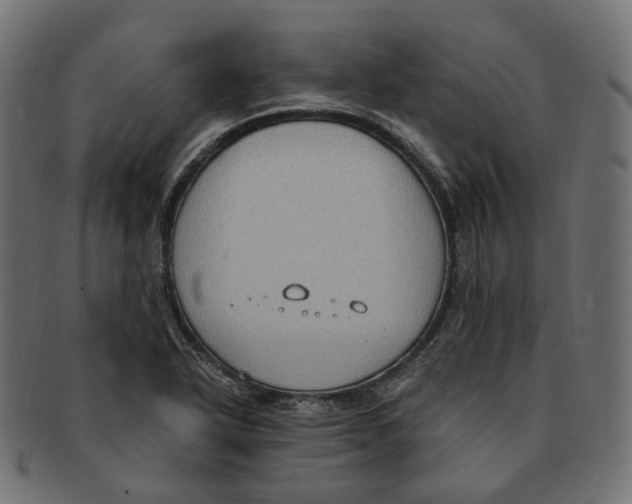 X0000091731318200709211012