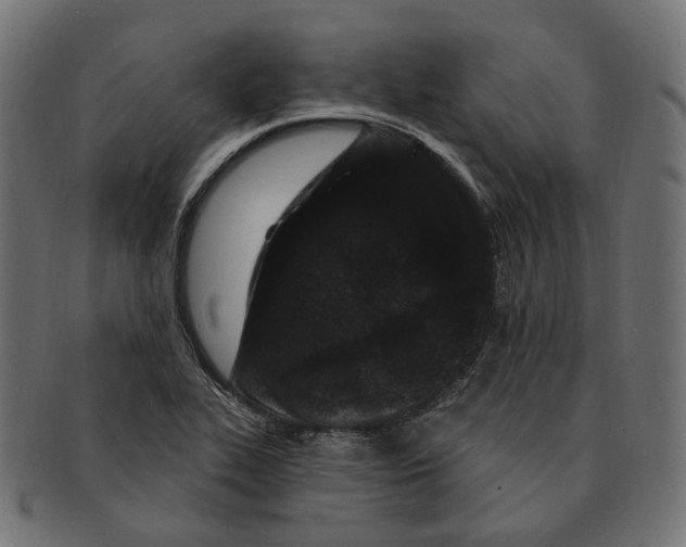 X0000091731319200709211012