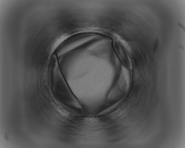 X0000091731320200709211013