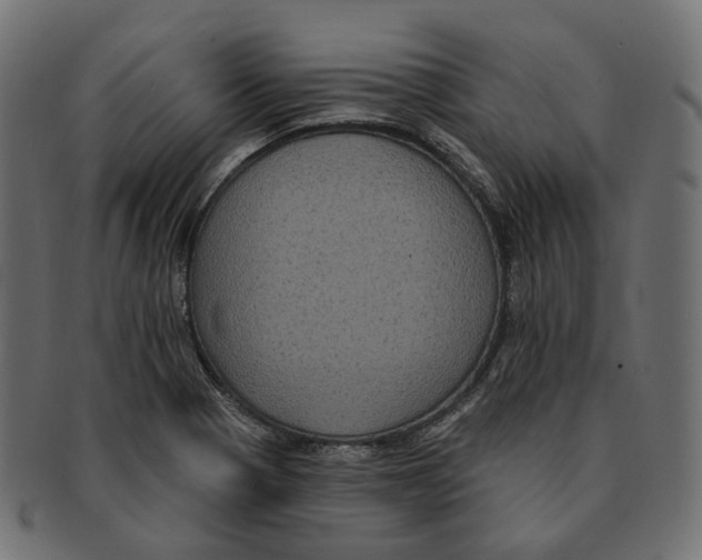 X0000091731321200709211013