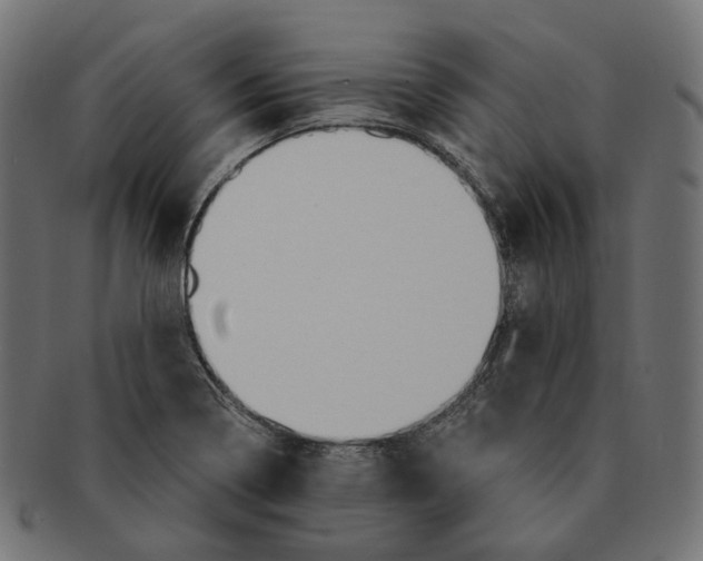 X0000091731322200709211013