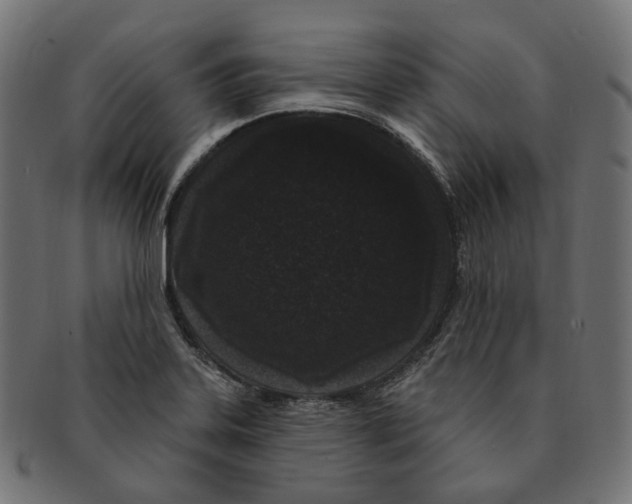 X0000091731323200709211013