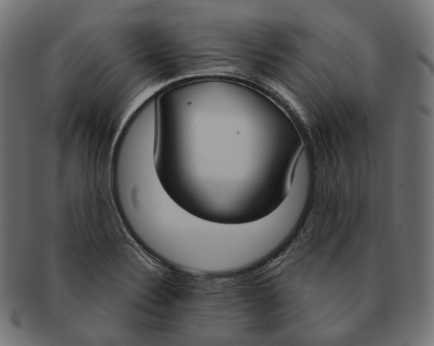 X0000091731324200709211013