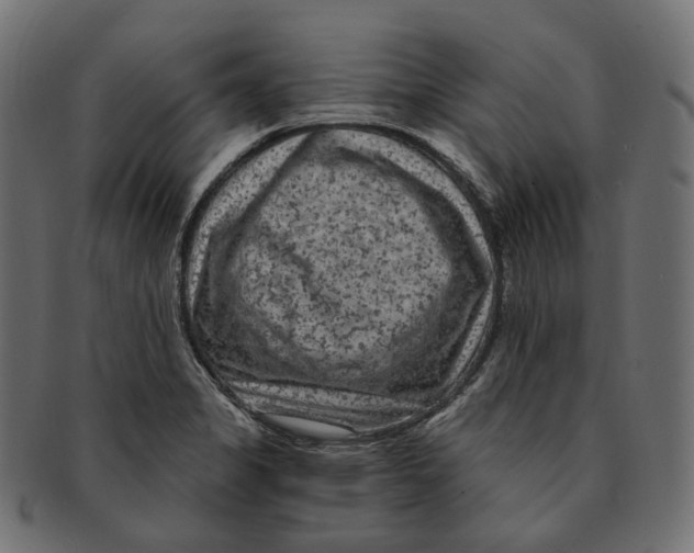 X0000091731325200709211013