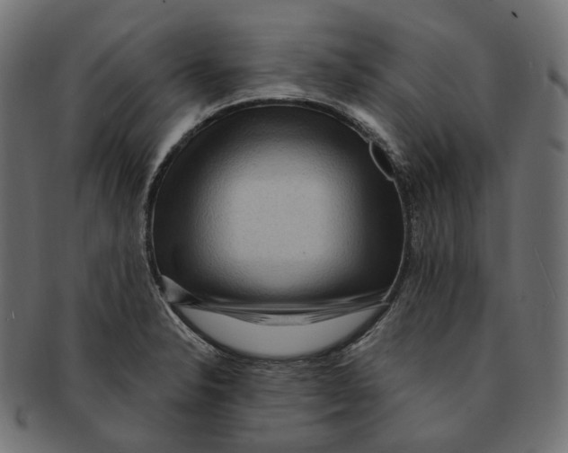 X0000091731326200709211013