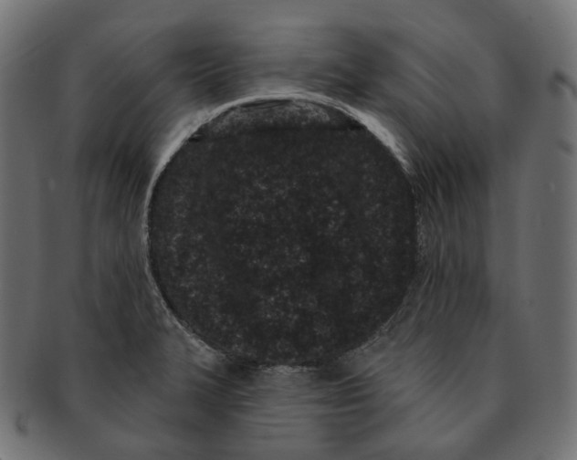 X0000091731327200709211013