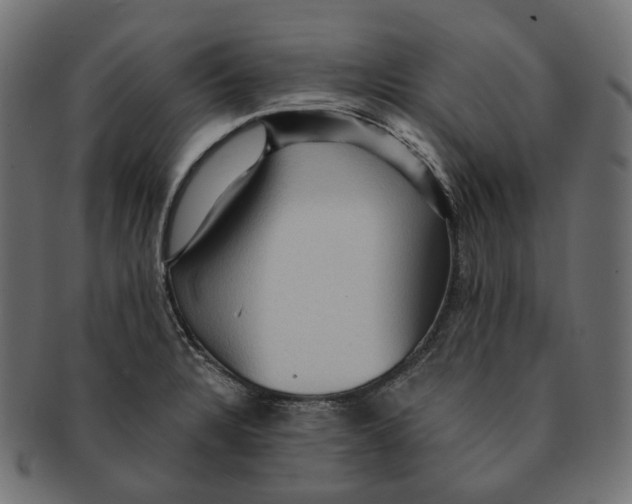 X0000091731328200709211013