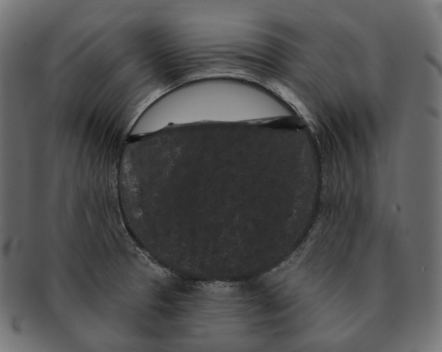 X0000091731329200709211013