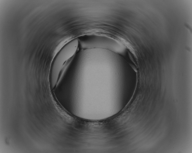 X0000091731330200709211013