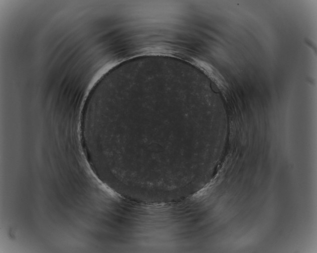 X0000091731331200709211013