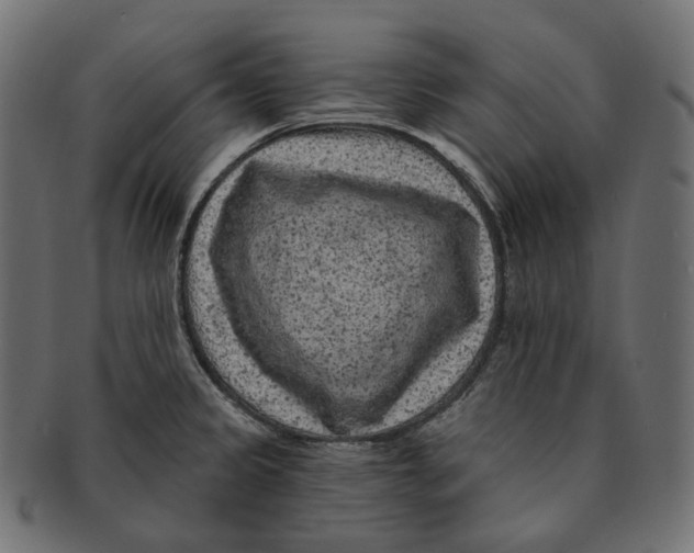 X0000091731333200709211013