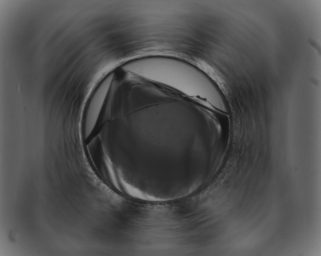 X0000091731334200709211013