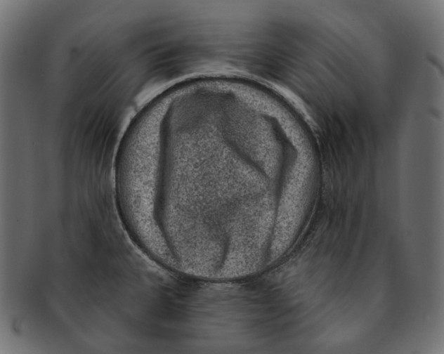 X0000091731335200709211013