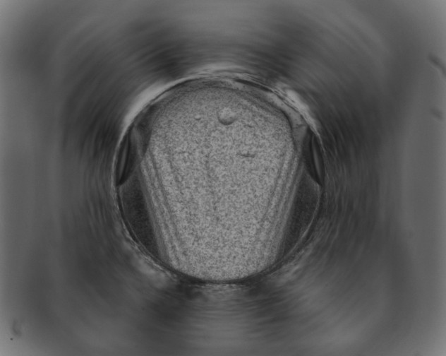 X0000091731336200709211013