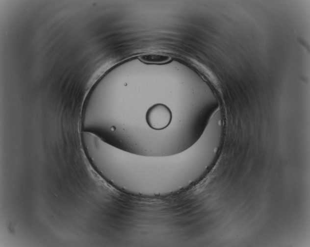 X0000091731338200709211013