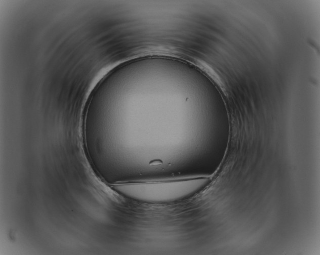 X0000091731339200709211013