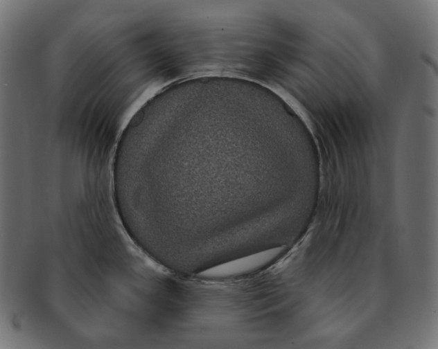 X0000091731341200709211013