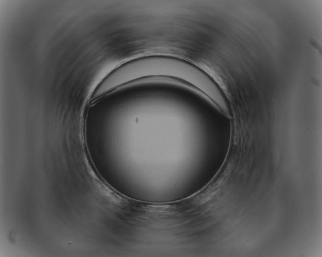 X0000091731342200709211013