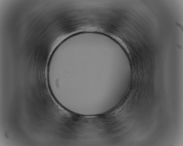 X0000091731343200709211013