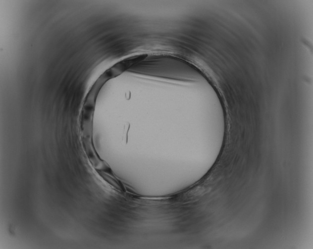 X0000091731344200709211013