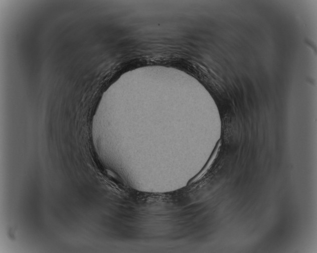 X0000091731345200709211012