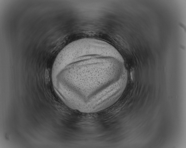 X0000091731347200709211012