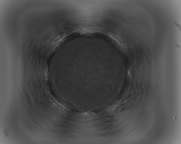 X0000091731348200709211012