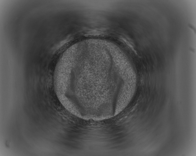 X0000091731350200709211012