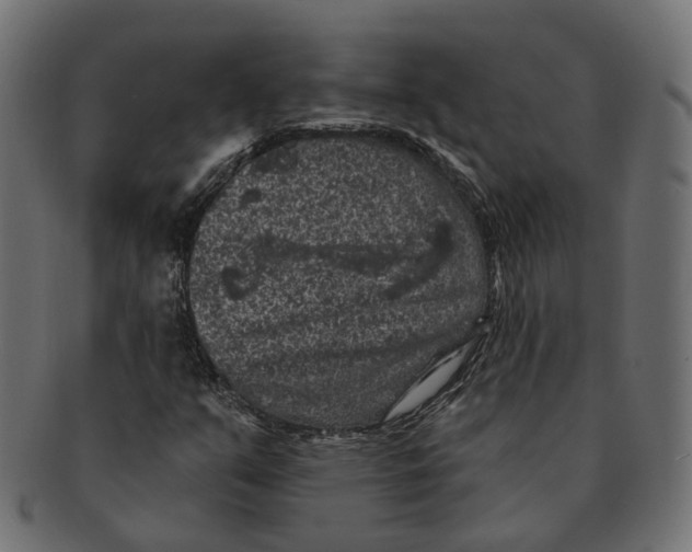 X0000091731351200709211012