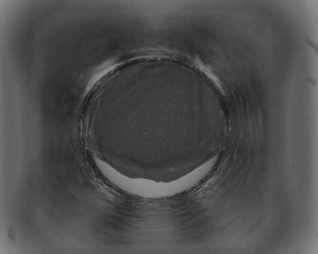 X0000091731352200709211012