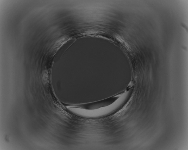 X0000091731353200709211012