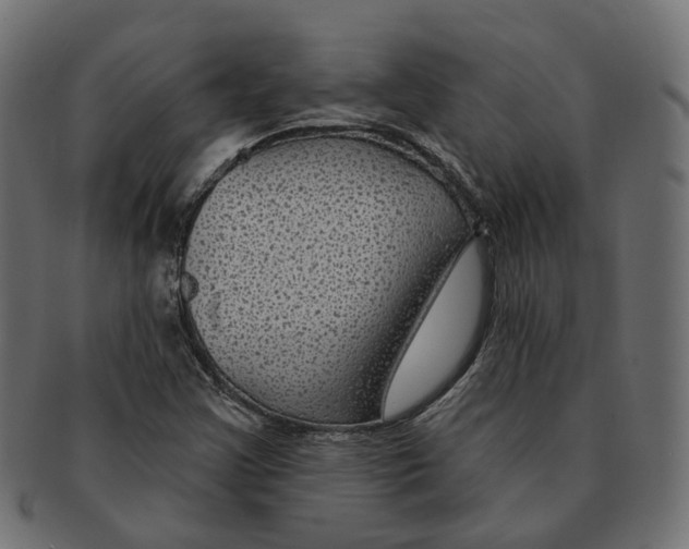 X0000091731355200709211012