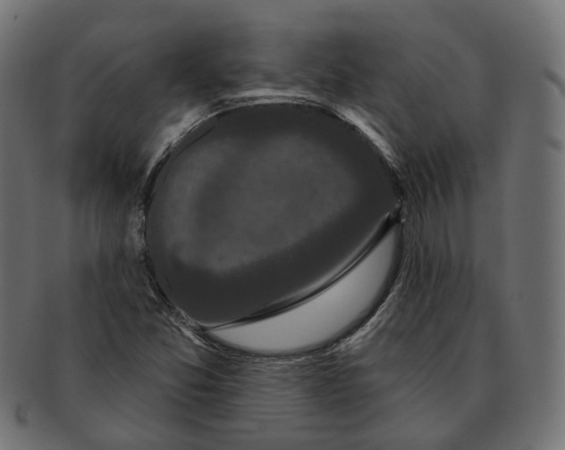 X0000091731357200709211012