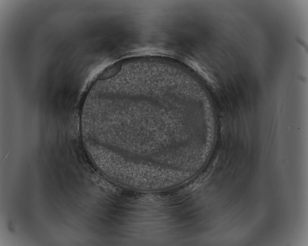 X0000091731358200709211012