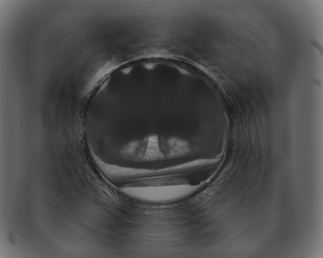 X0000091731359200709211012