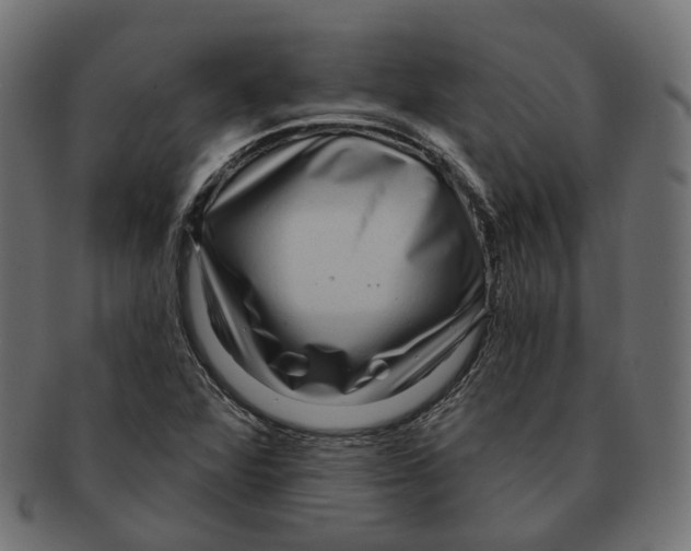 X0000091731360200709211012