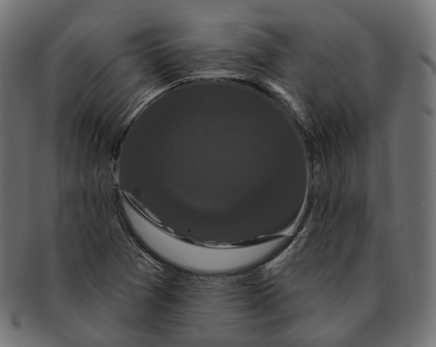 X0000091731361200709211012