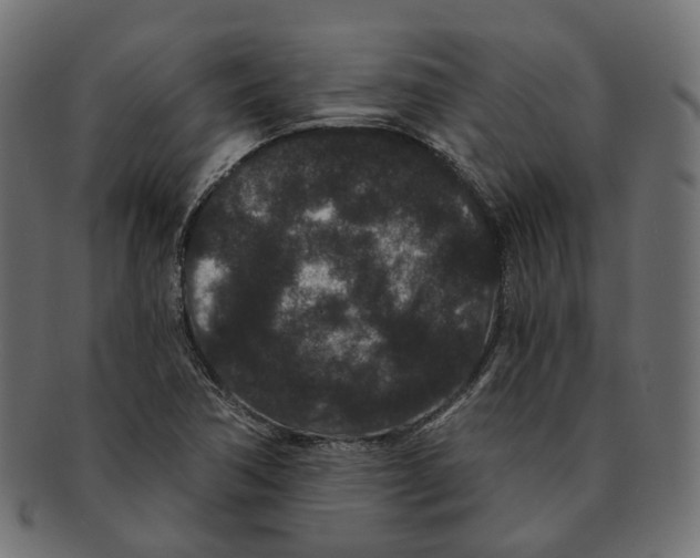 X0000091731362200709211012