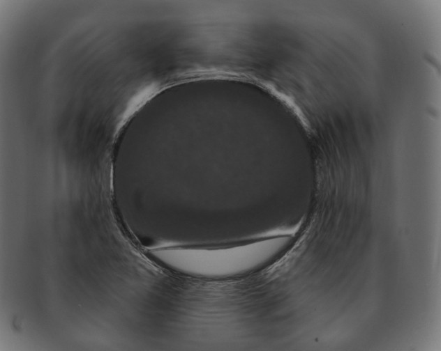 X0000091731365200709211012