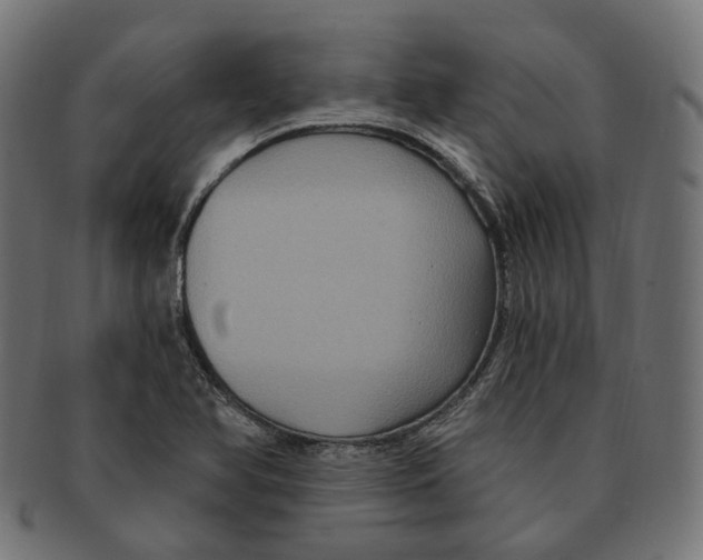 X0000091731366200709211012