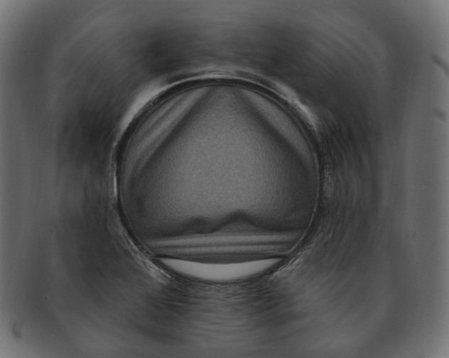 X0000091731368200709211012