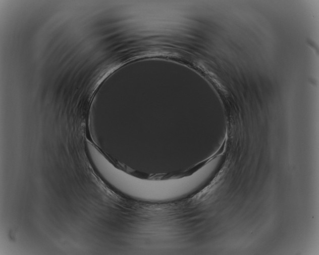 X0000091731369200709211012