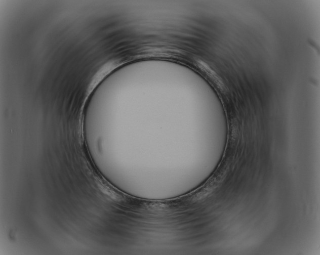 X0000091731370200709211012