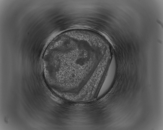 X0000091731371200709211012