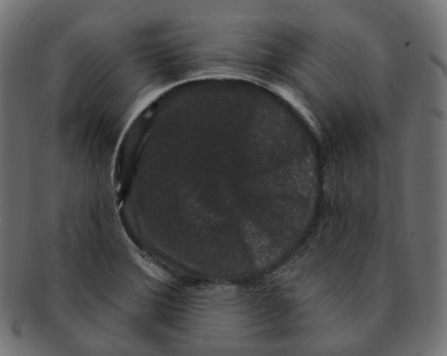 X0000091731372200709211012