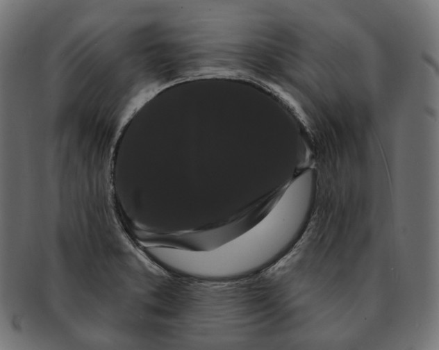 X0000091731373200709211012