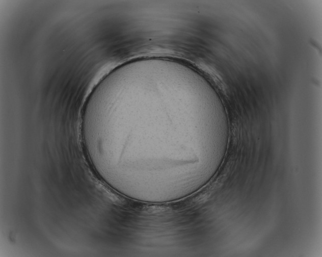 X0000091731374200709211012