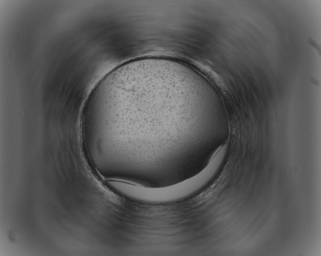 X0000091731375200709211012