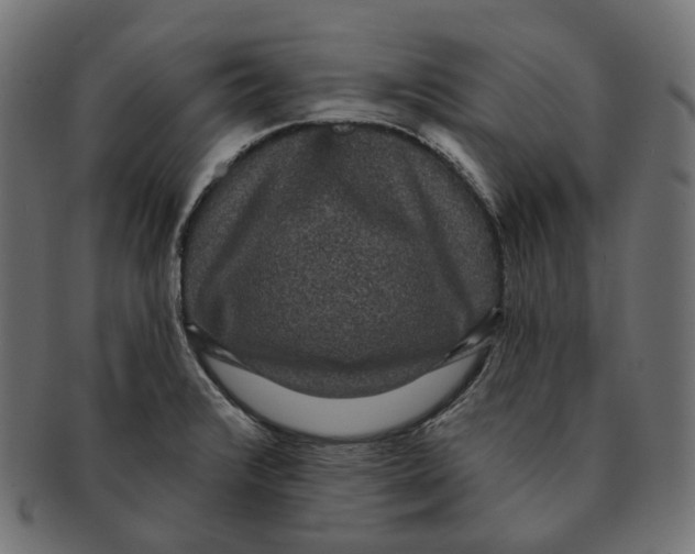 X0000091731376200709211012